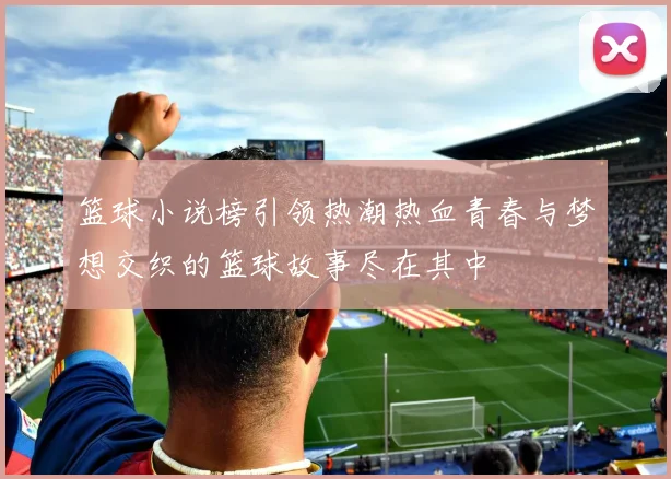 篮球小说榜引领热潮热血青春与梦想交织的篮球故事尽在其中