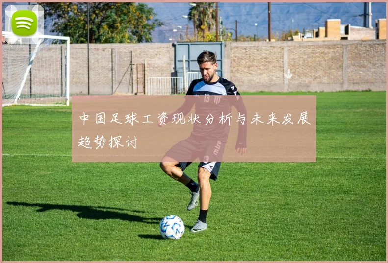 中国足球工资现状分析与未来发展趋势探讨