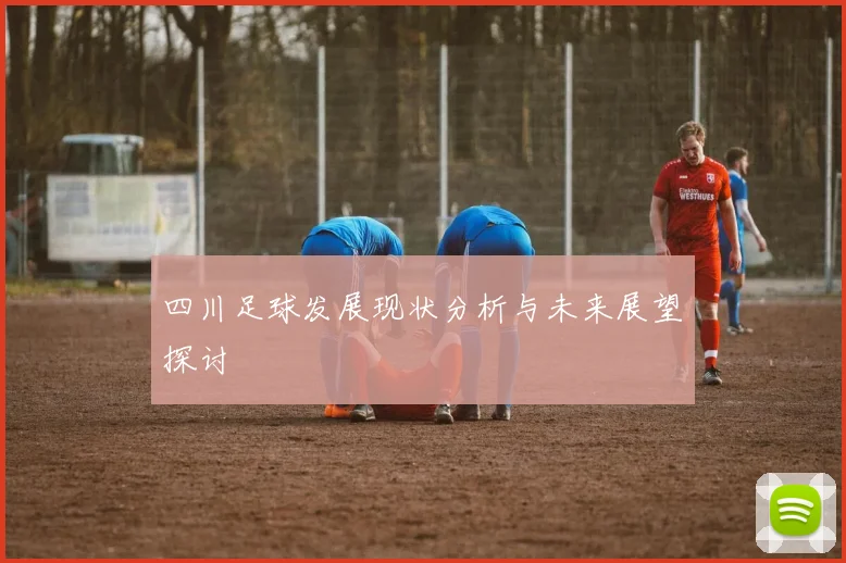 四川足球发展现状分析与未来展望探讨