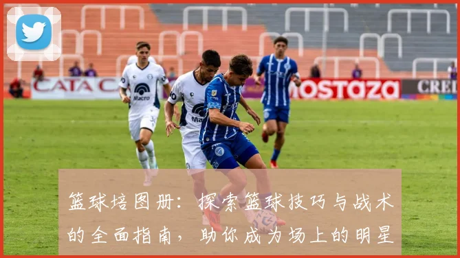 篮球培图册：探索篮球技巧与战术的全面指南，助你成为场上的明星球员