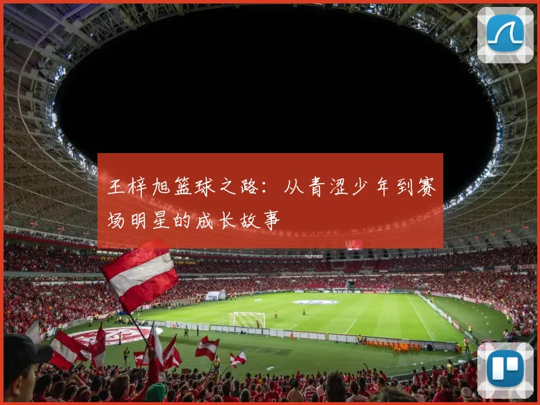 王梓旭篮球之路：从青涩少年到赛场明星的成长故事