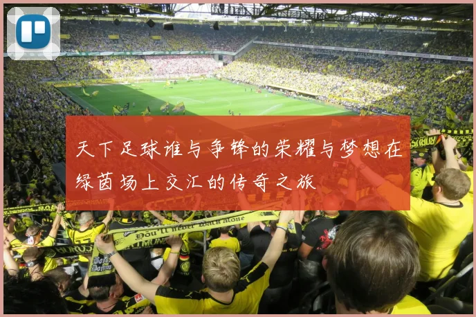 天下足球谁与争锋的荣耀与梦想在绿茵场上交汇的传奇之旅