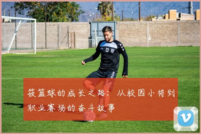 筱篮球的成长之路：从校园小将到职业赛场的奋斗故事